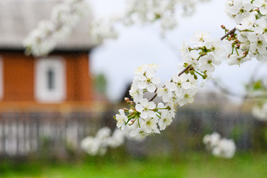 Similar image 21286563