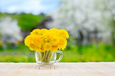 Similar image 21278699