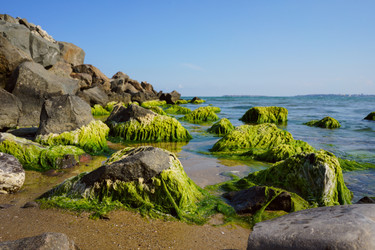 Similar image 21285844