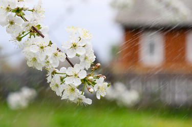 Similar image 21285845