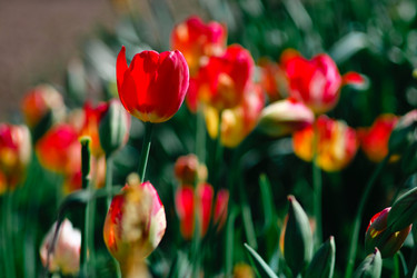 Similar image 21278702