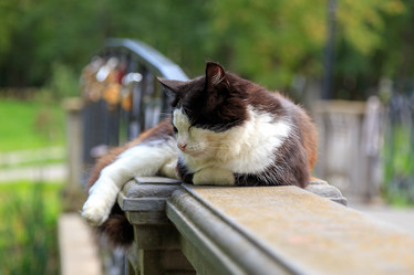 Similar image 21290712