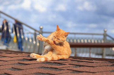 Similar image 21290715