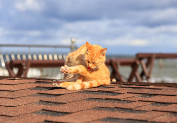 Similar image 21290717