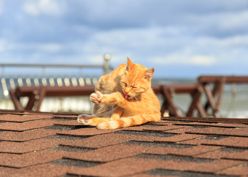 Similar image 21291091