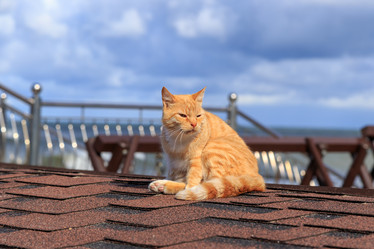 Similar image 21291099