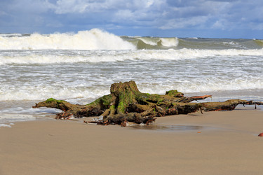 Similar image 21291101