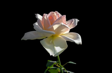 Similar image 21283211