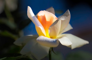 Similar image 21283212