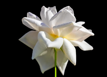 Similar image 21283214