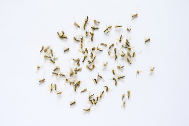 Similar image 21278733