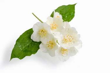 Similar image 21278734