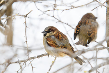 Similar image 21278735