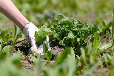 Similar image 21286565