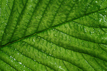 Similar image 21278737