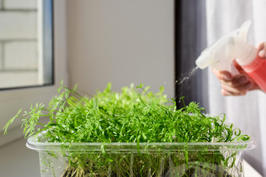 Similar image 21278738