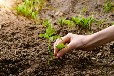 Similar image 21278739