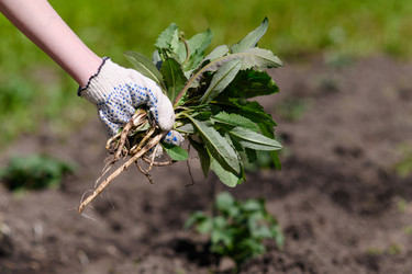 Similar image 21286062