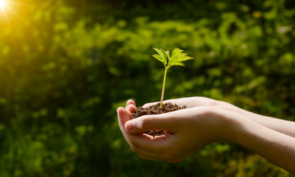 Similar image 21278740