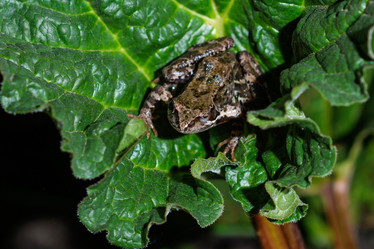 Similar image 21278741