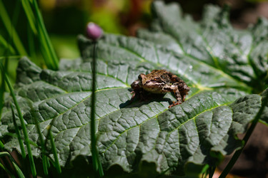 Similar image 21286566