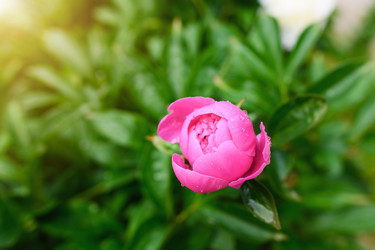 Similar image 21278744