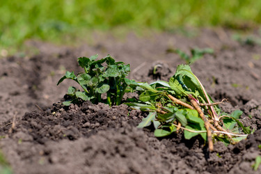 Similar image 21278746