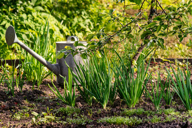 Similar image 21278748