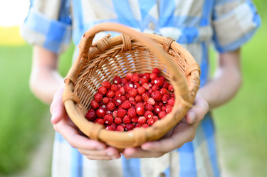 Similar image 21278750