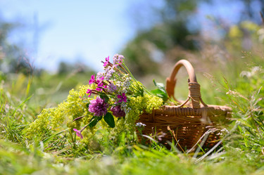 Similar image 21278754