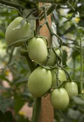 Similar image 21267469