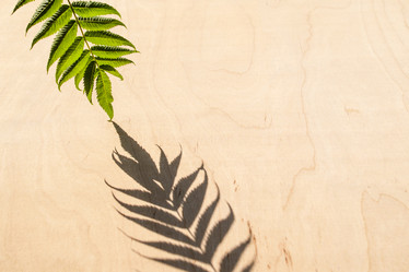 Similar image 21278707