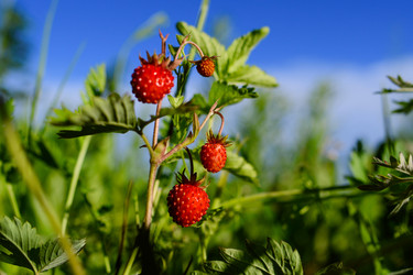 Similar image 21285852