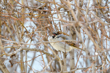 Similar image 21285857