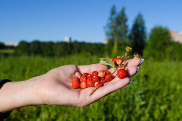 Similar image 21285865