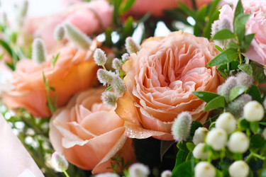 Similar image 21278766