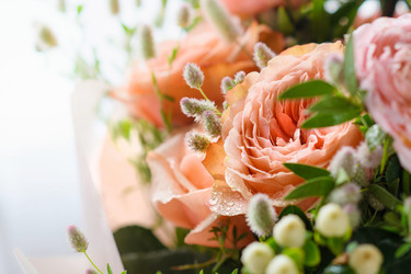 Similar image 21285867