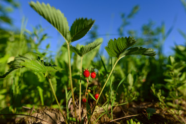 Similar image 21278771