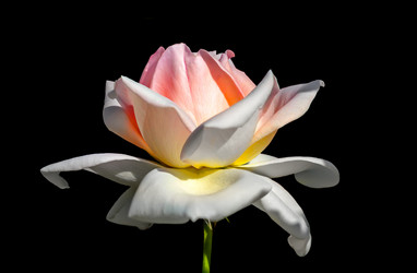 Similar image 21283215