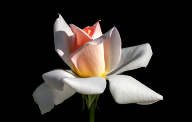 Similar image 21283216