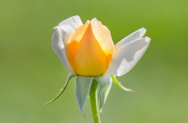 Similar image 21283218