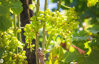 Similar image 21283219