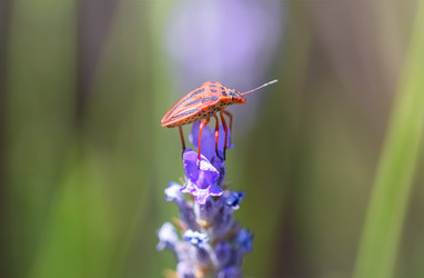 Similar image 21283220