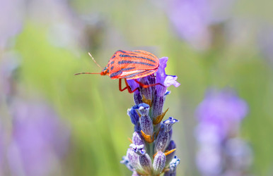 Similar image 21283221