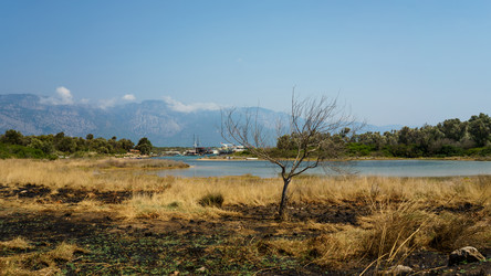 Similar image 21278785