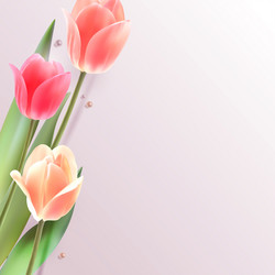 Similar image 21271890