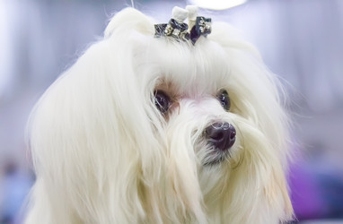 Similar image 21282912