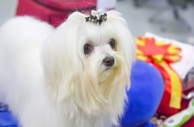 Similar image 21282913