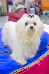 Similar image 21282914