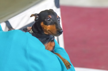 Similar image 21282915